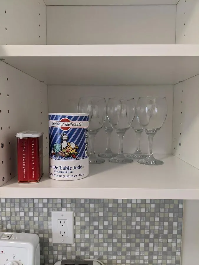 Appartamento 3 Bdr Appartement,Wifi,Netflix Free Parking Montréal